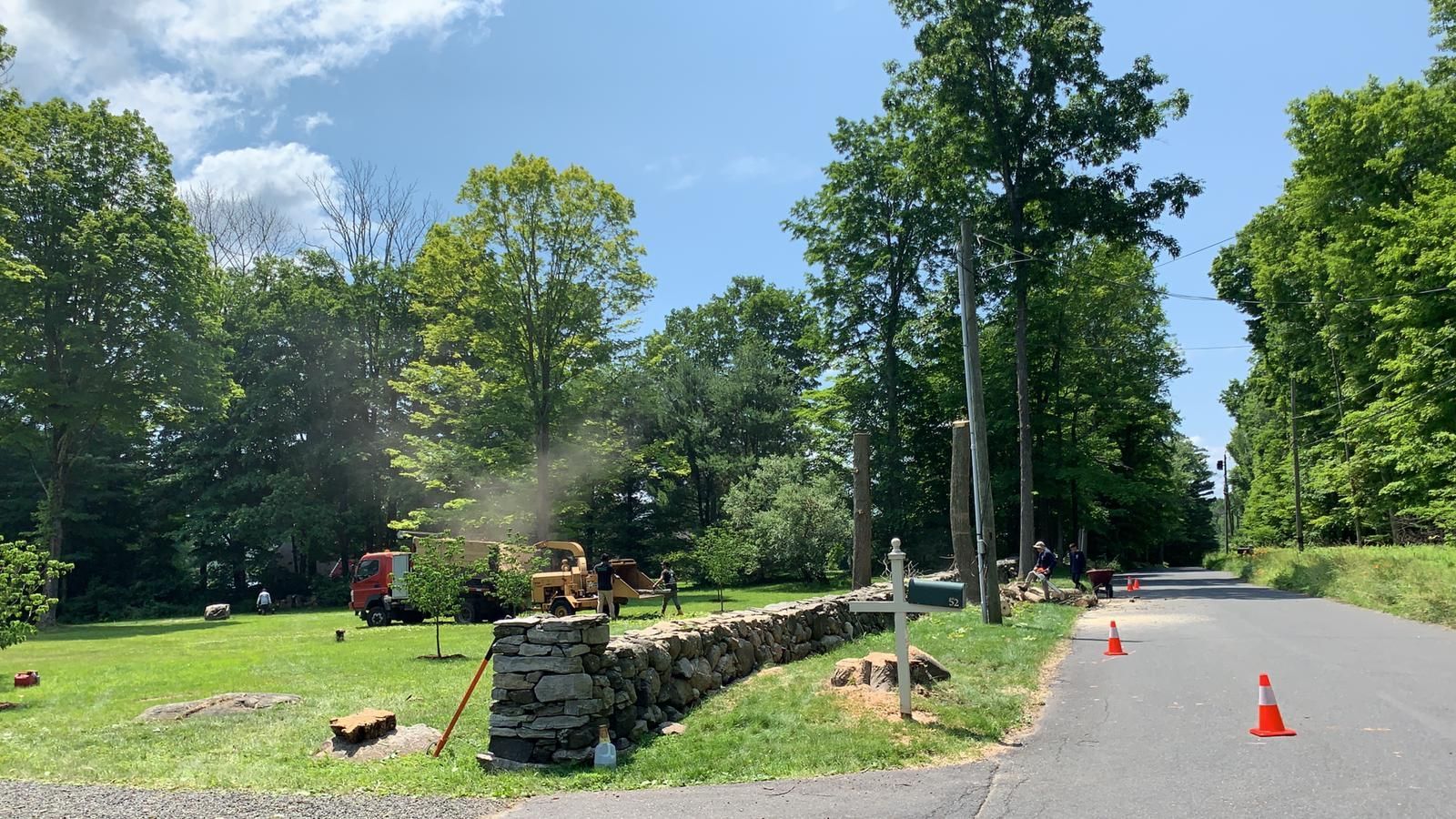 Tree removal service