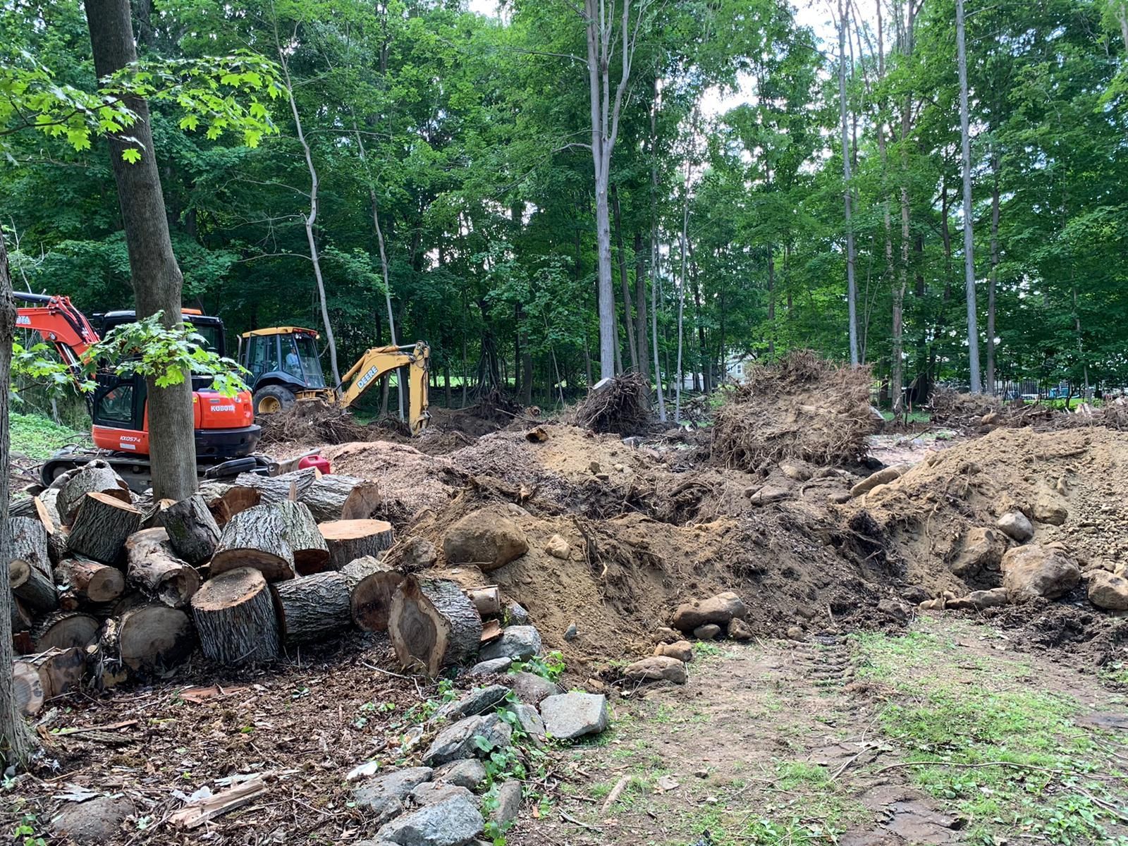 Tree removal and excavation service