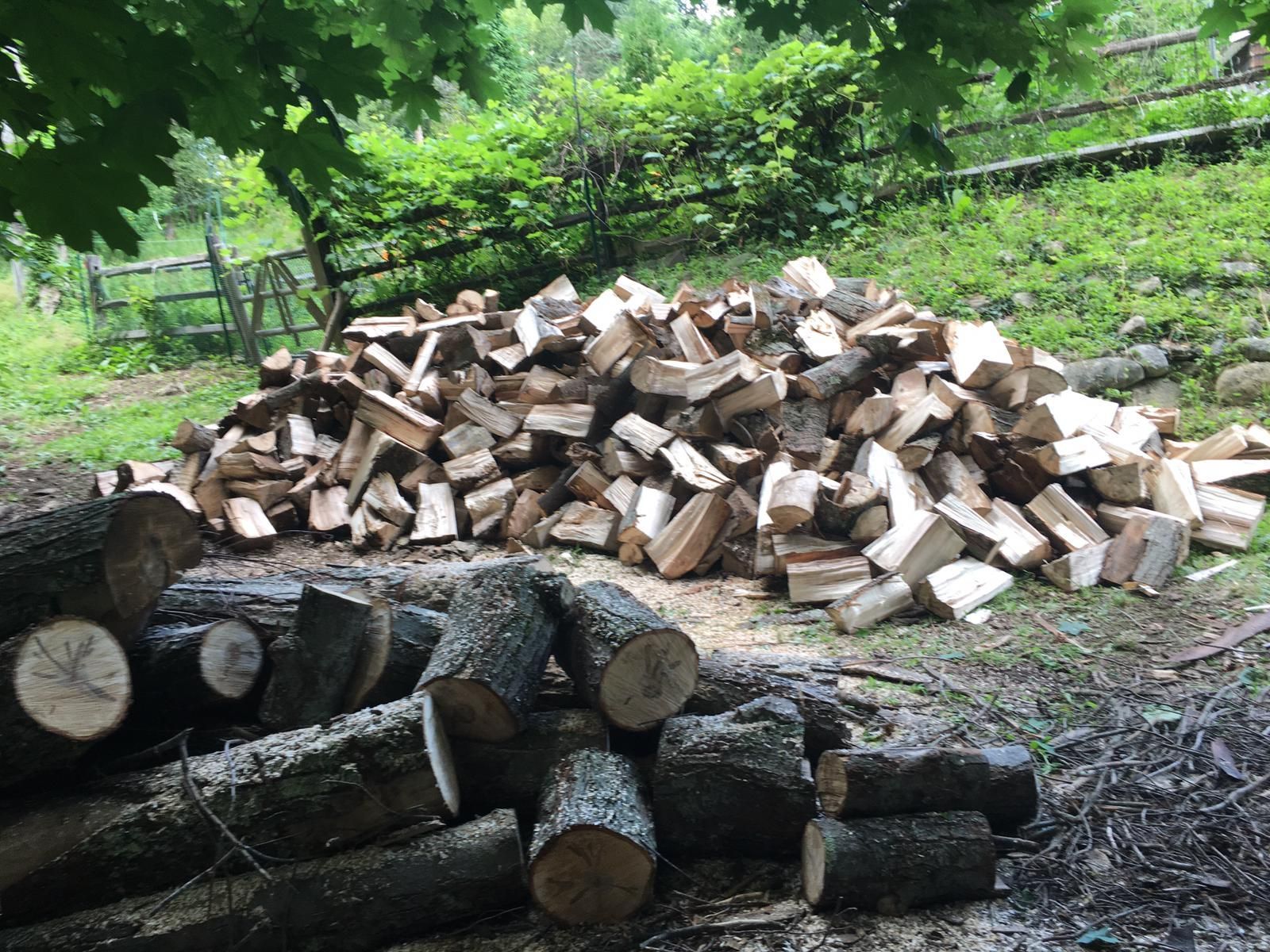 Fire woods
