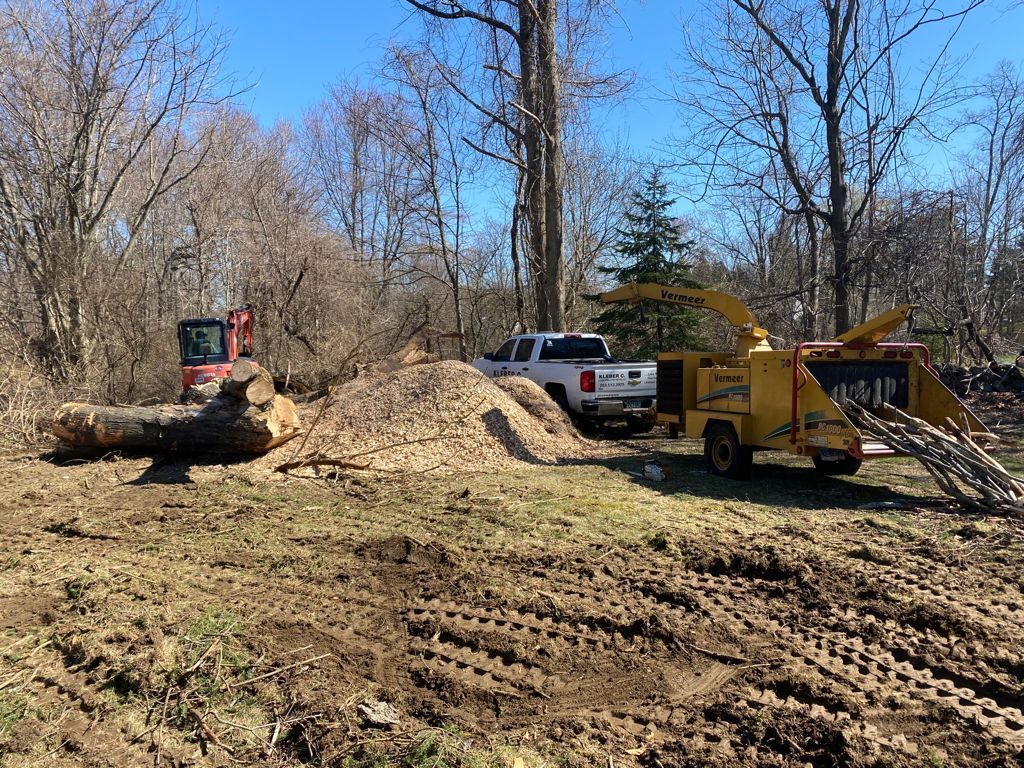 Tree removal service