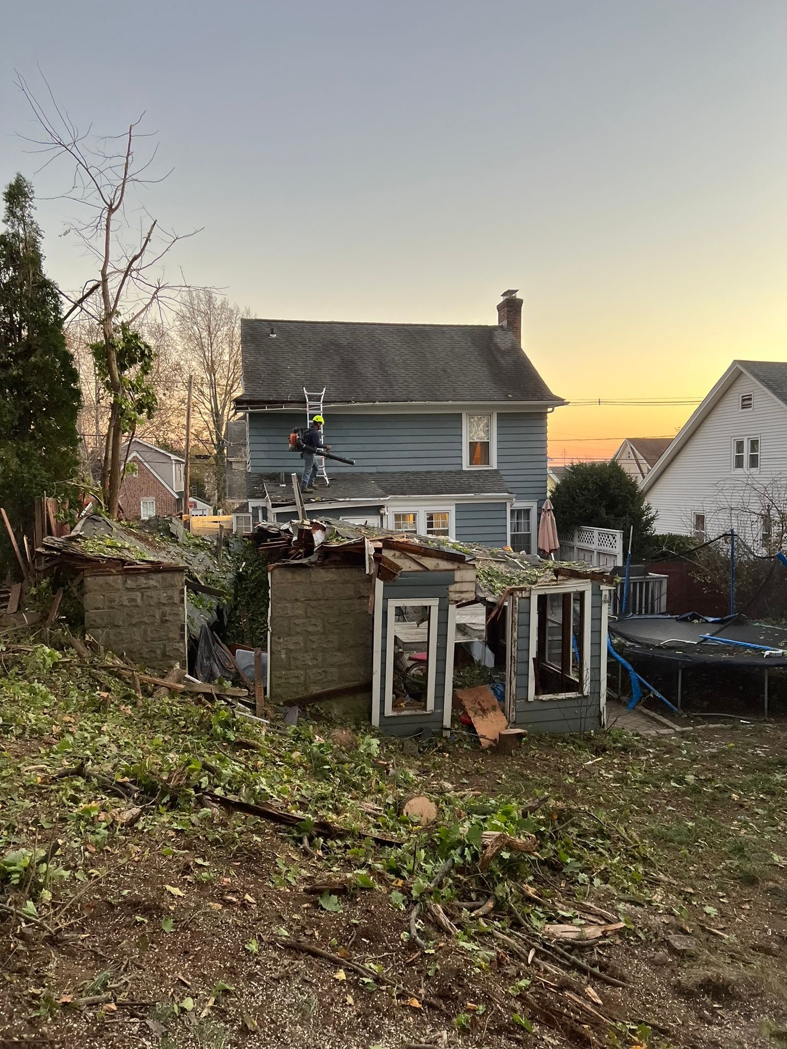 Tree removal service