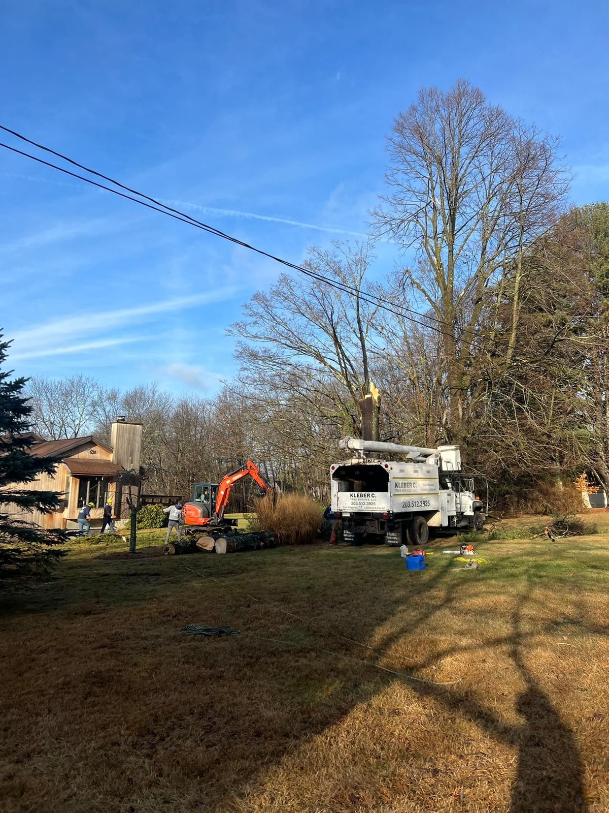 Excavation and tree removal service