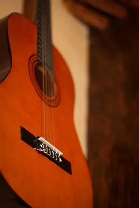 Guitar