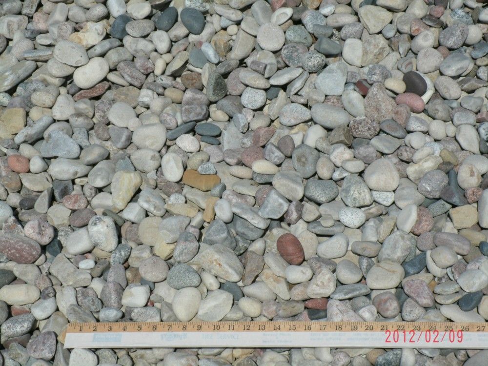 Pile of mixed river rock pebbles, various colors. Ruler in the foreground.
