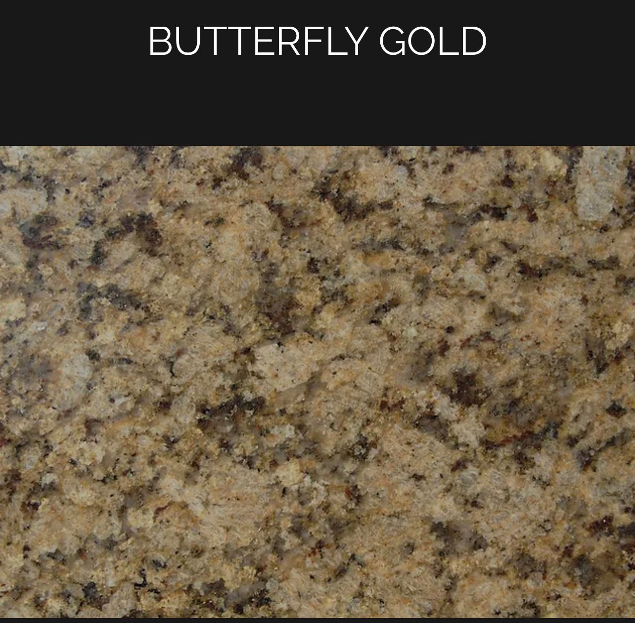 A close up of a butterfly gold granite counter top.