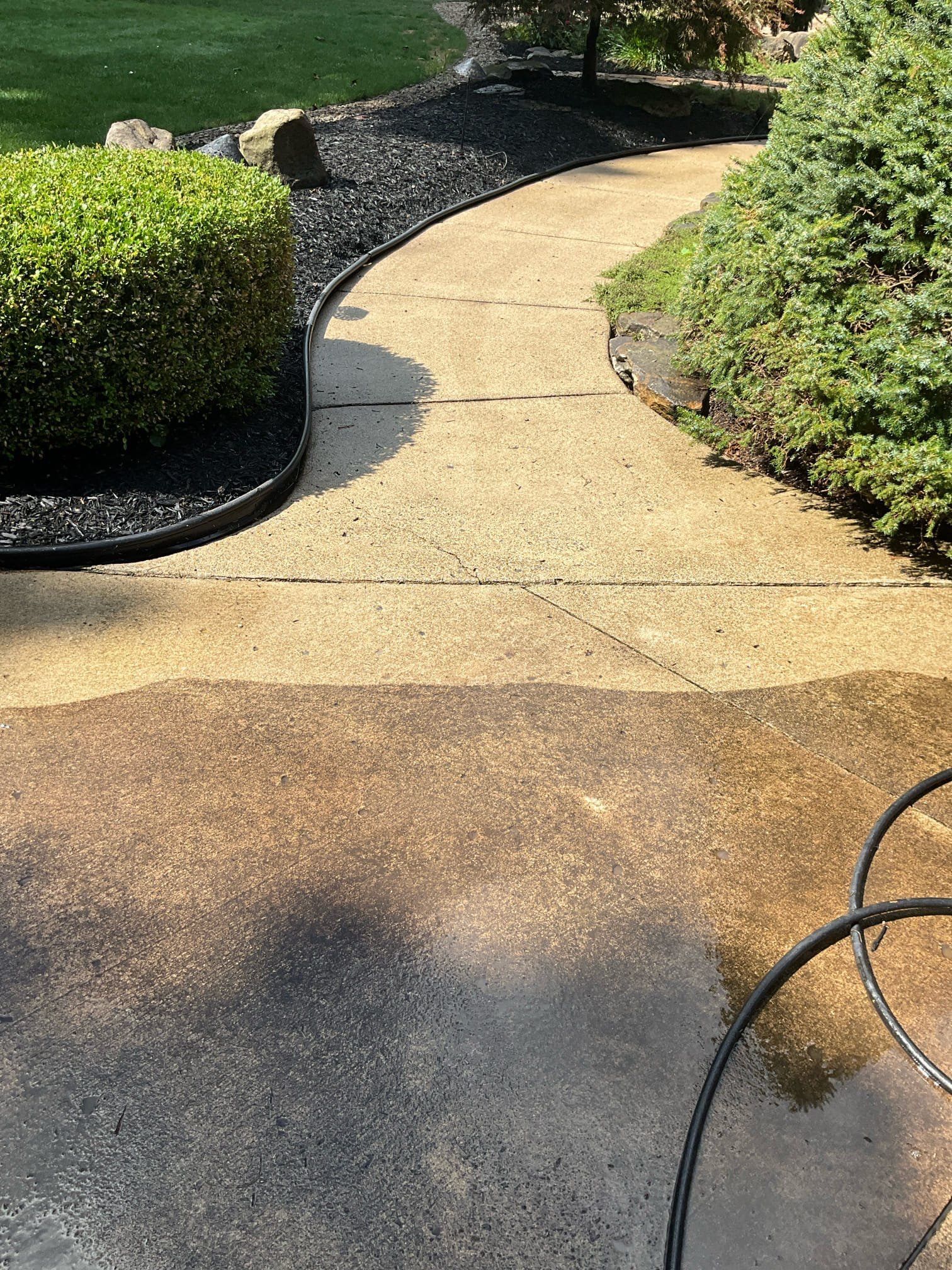 A partially pressure-washed concrete walkway curves through a yard bordered by dark mulch, shrubs, and green grass.