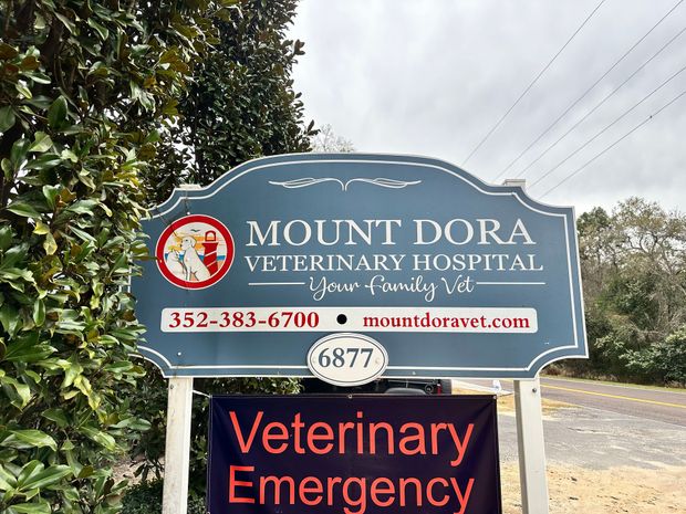 Mount Dora Veterinary Hospital sign with red emergency notice beside a road