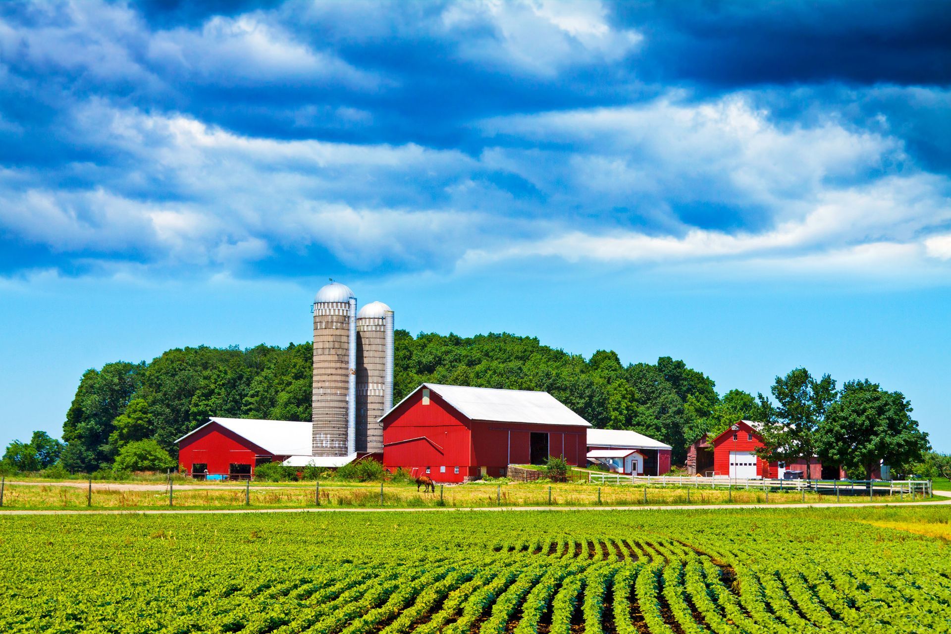 field drainage solution