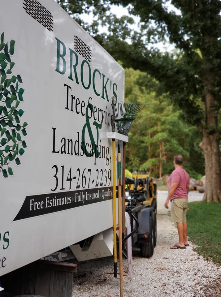 Truck with Brooks Tree Service sign parked on gravel road beside a man and trees