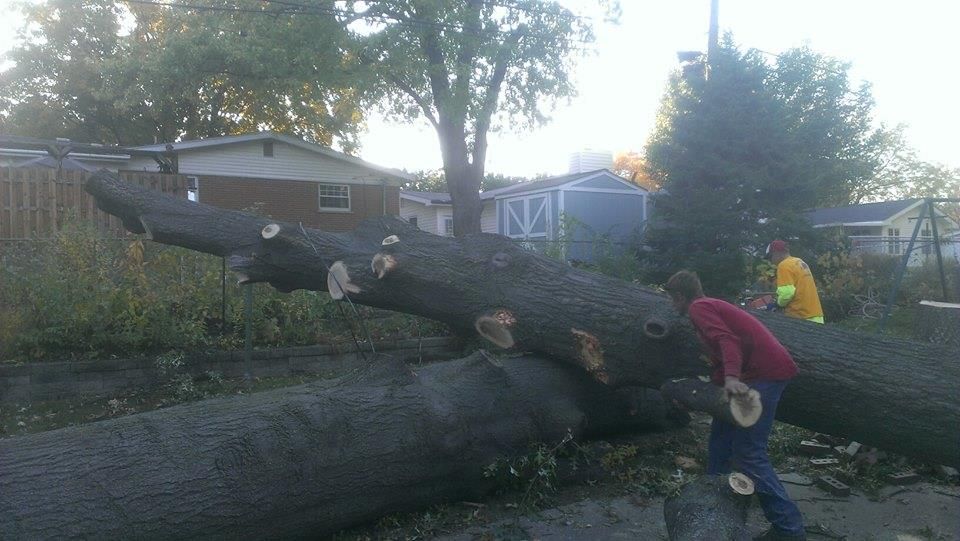 Children climbing on a fallen tree trunk in a park-like yard at dusk