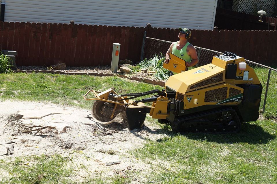 Yellow skid-steer loader moving dirt in a backyard while a worker stands beside it