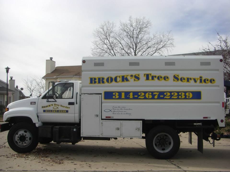 White Brock's Tree Service truck with phone number parked outdoors under a cloudy sky