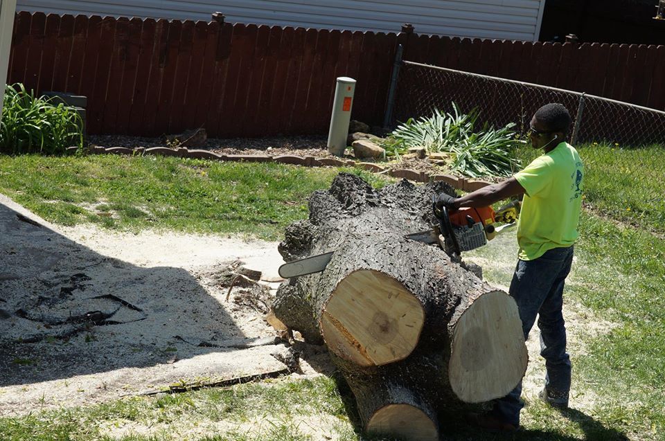 Worker in neon shirt cutting a large fallen tree trunk in a backyard