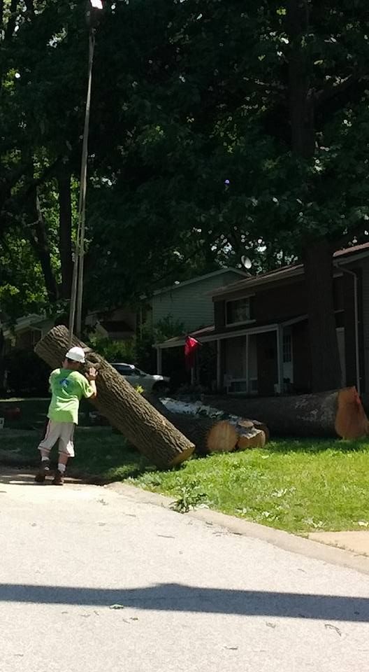 Person in neon green shirt pushes a large fallen tree trunk across a driveway near a house.
