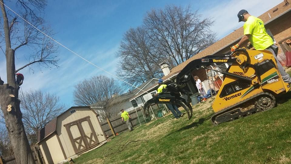 Workers in neon safety gear clear a fallen tree with chainsaws and a skid steer in a yard.