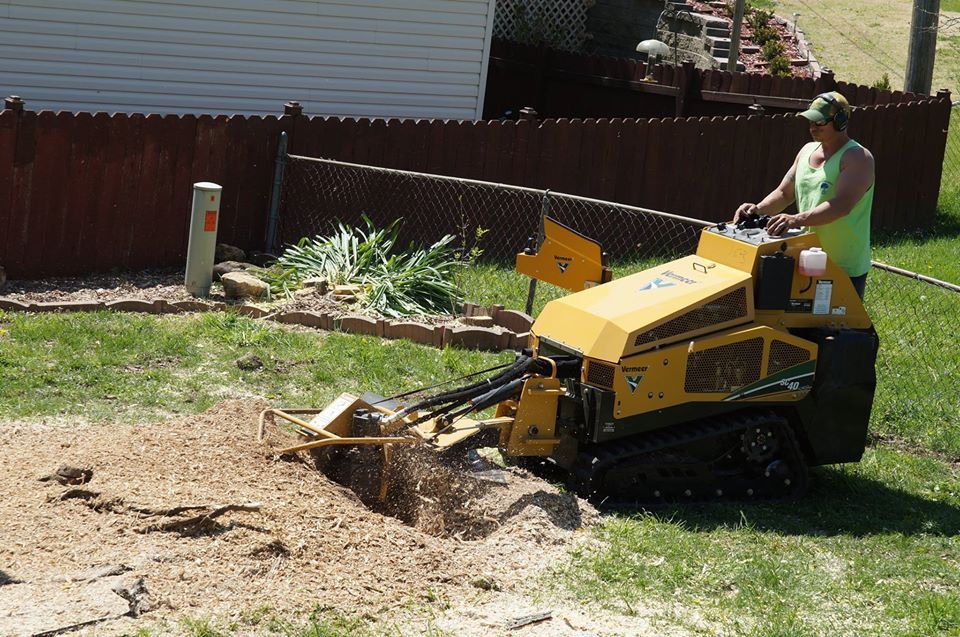 Yellow mini excavator digging dirt in a yard while a person operates it