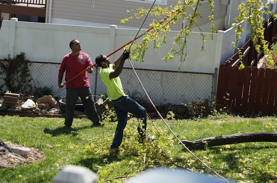 Two people playing in a backyard, one swinging a bat at a ball near a tree branch