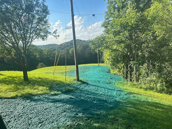 A dirt road surrounded by trees and grass on a hillside.
