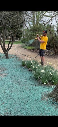 A man is spraying a tree with a hose in a garden.