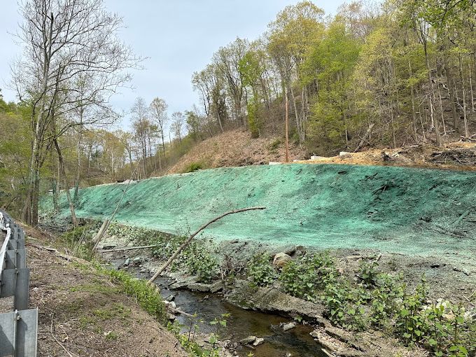 A river runs through a forest next to a green hill.