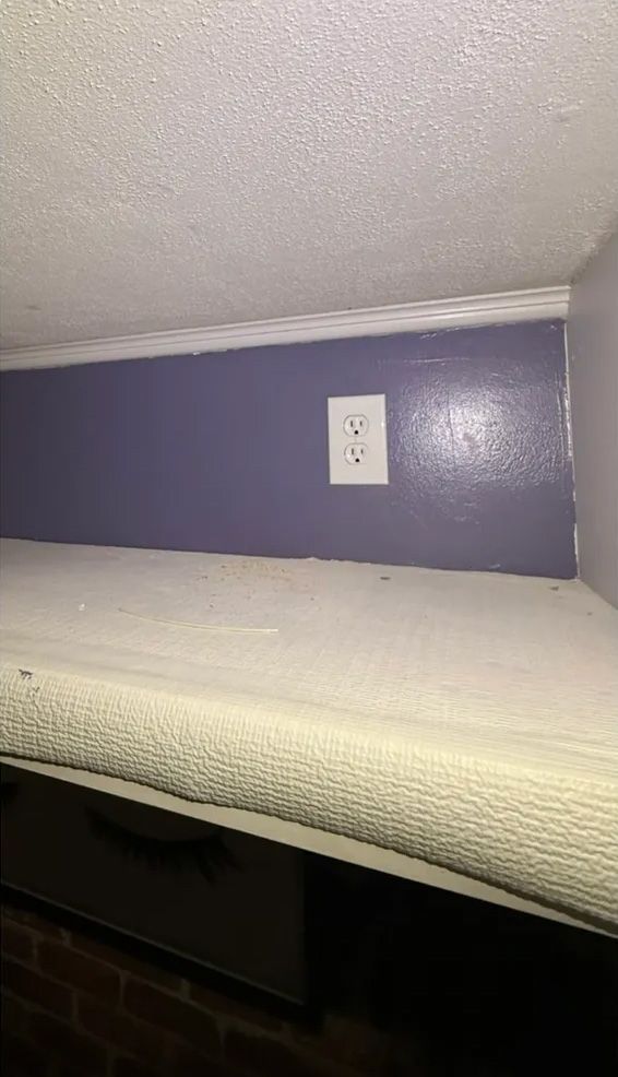 Outlet on a purple wall above a bed. White crown molding and textured ceiling.