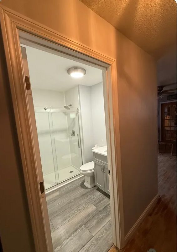 Bathroom interior seen through doorway; light gray walls, shower, toilet, and vanity with gray wood-look flooring.