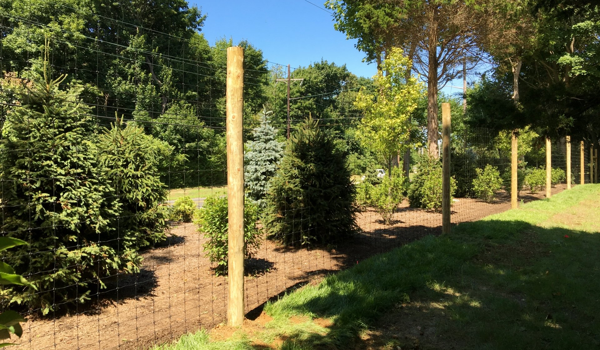 Deer fence for residential