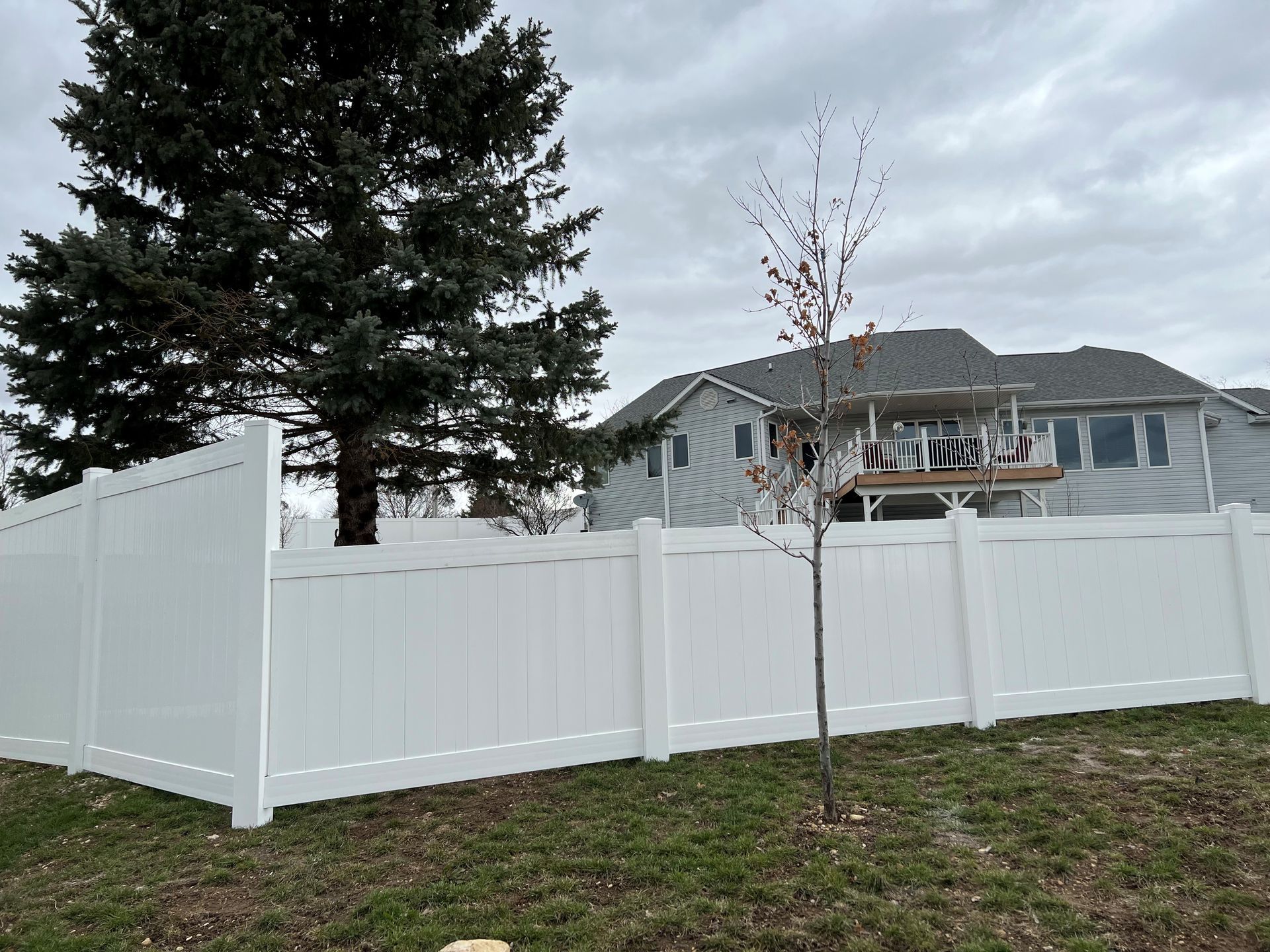 A white fence surrounds a yard with a house in the background.