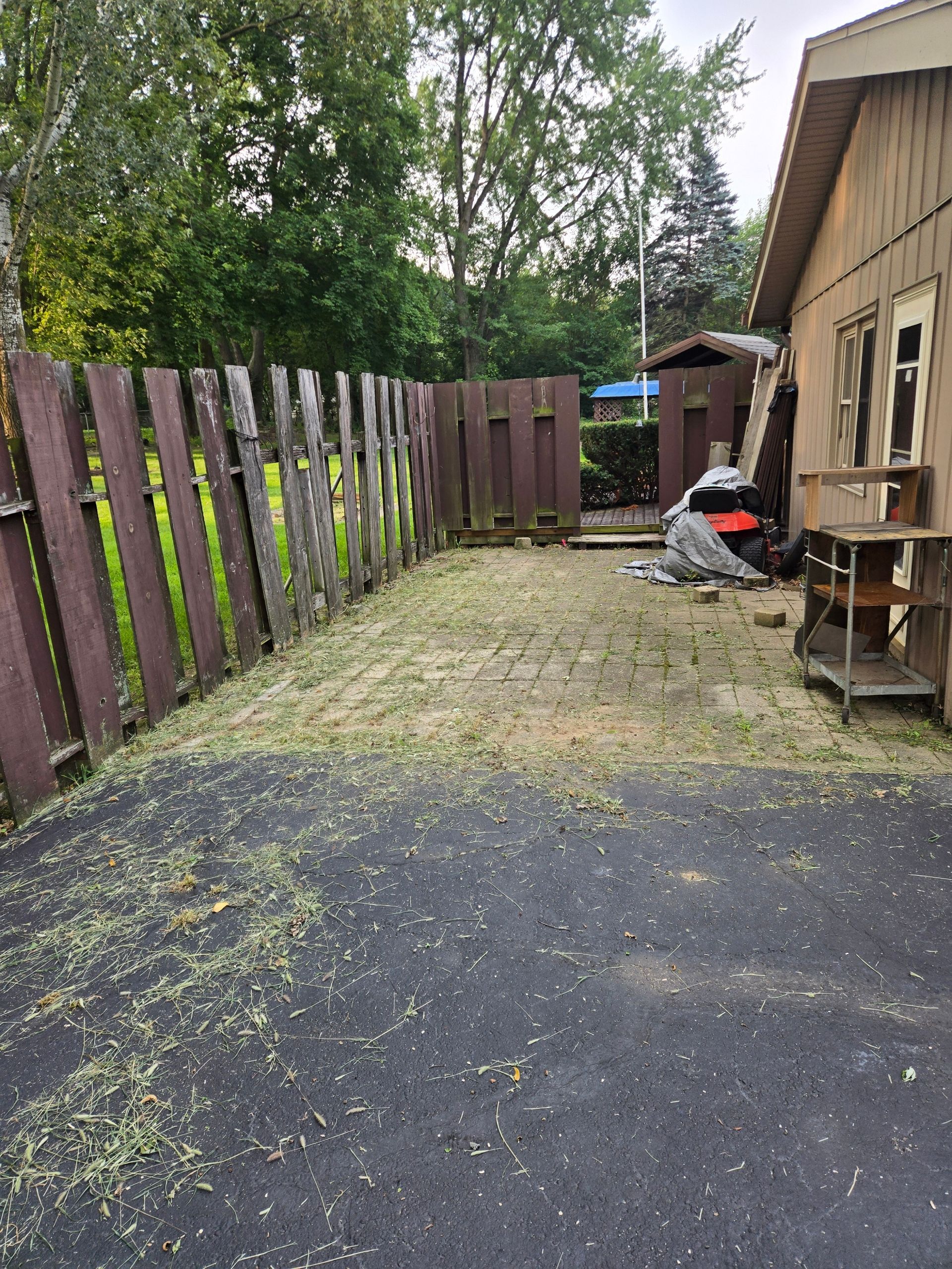 A backyard with a house and a shed in the background.