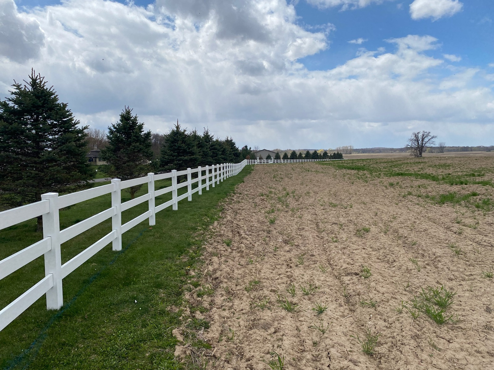 A white fence surrounds a dirt field with trees in the background.