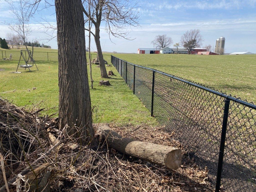 A chain link fence surrounds a grassy field with a farm in the background.
