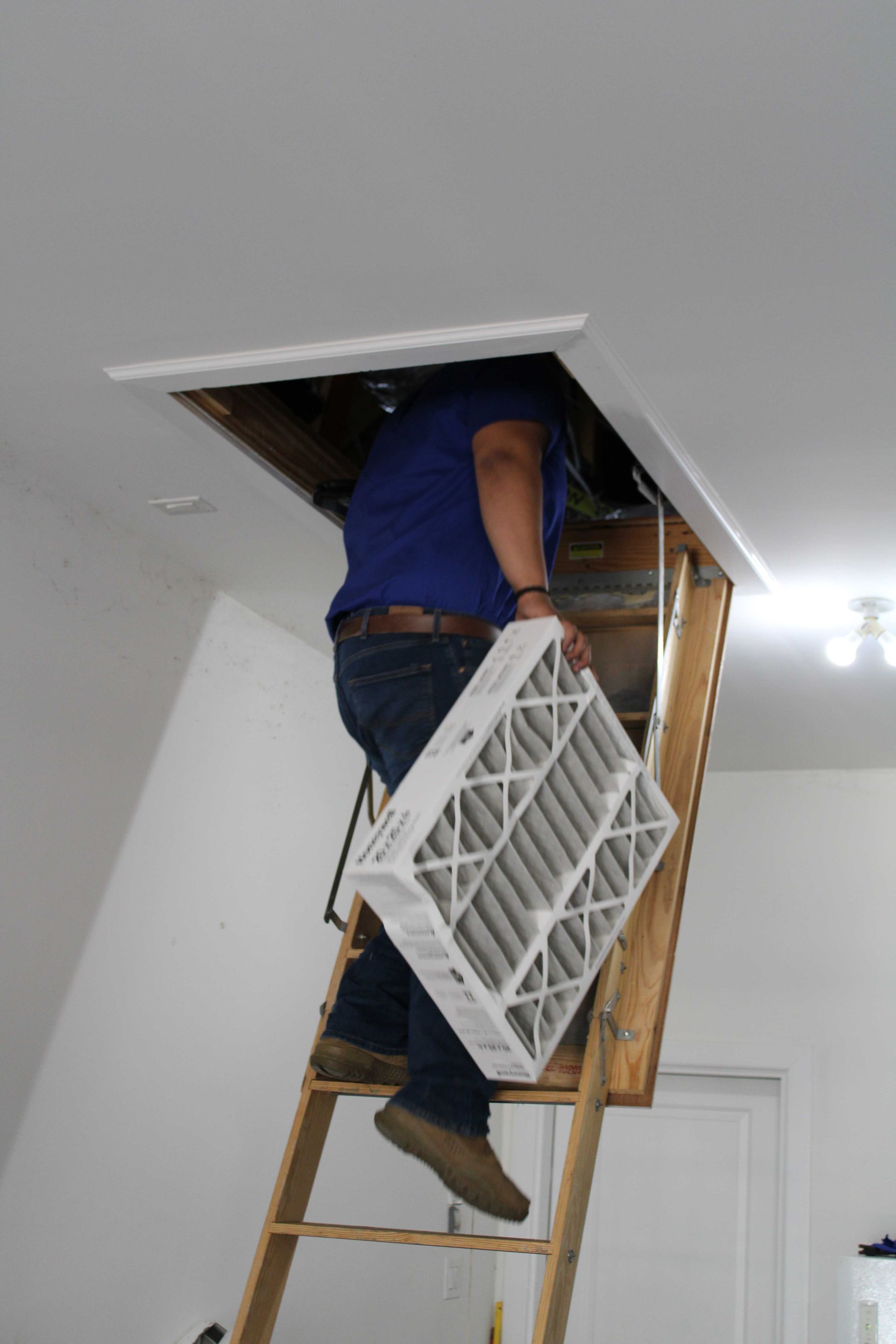Person climbing a pull-down attic ladder, holding an air filter near an attic access.