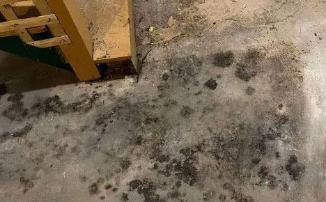 An unclean floor with mold and dirt present.