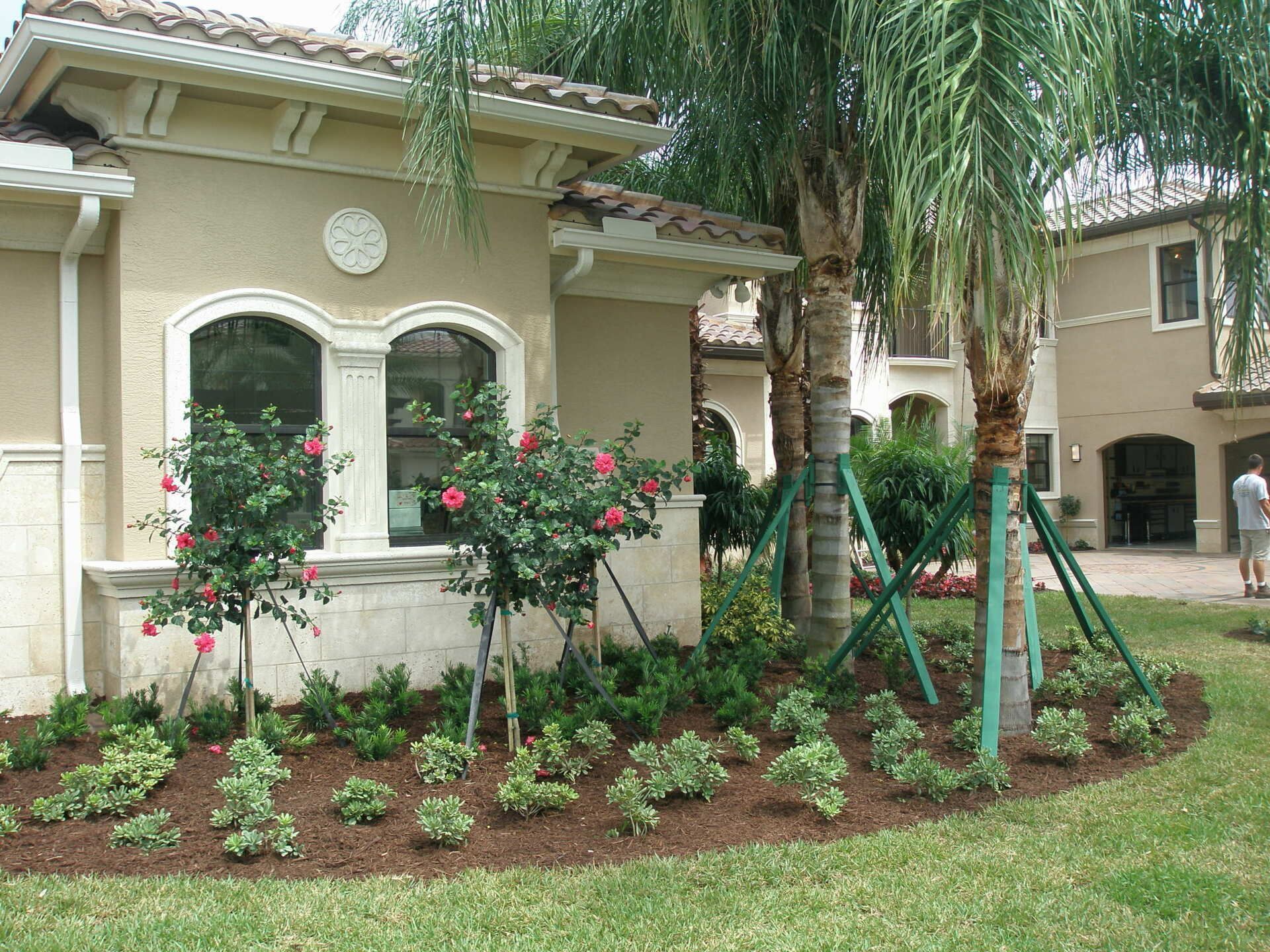 Landscaped house exterior with flowering shrubs, young trees, and a green lawn