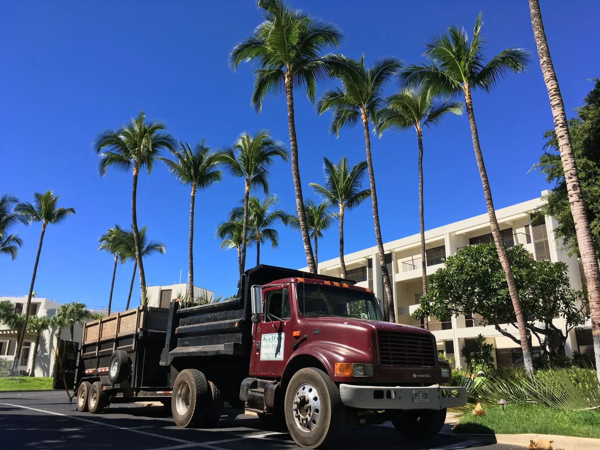 A red dump truck is parked in front of a building surrounded by palm trees.