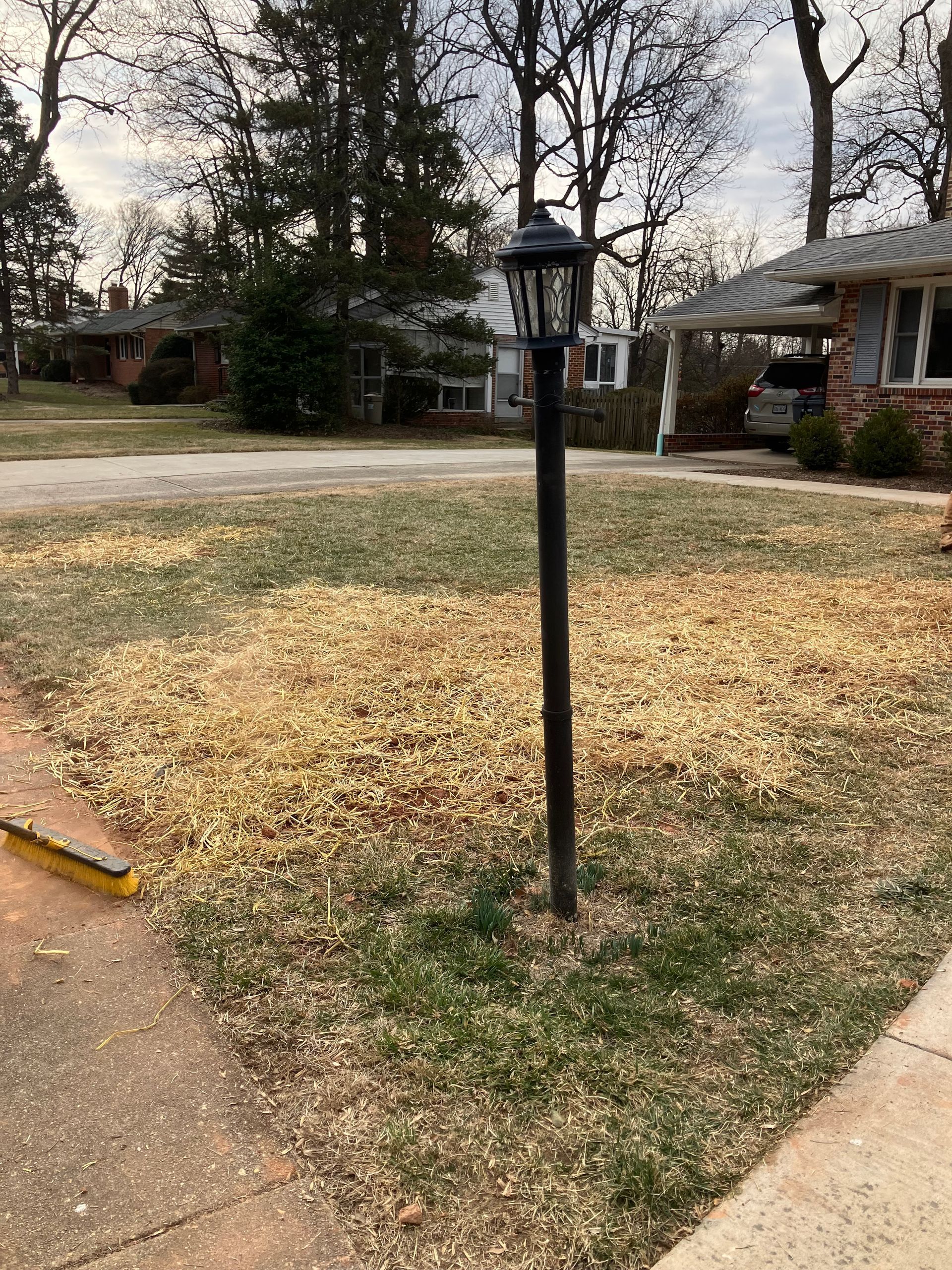 A lamp post in the middle of a lawn next to a house.
