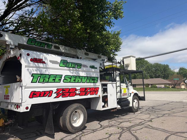 Tree service truck parked in a lot, with green and red lettering on the side.