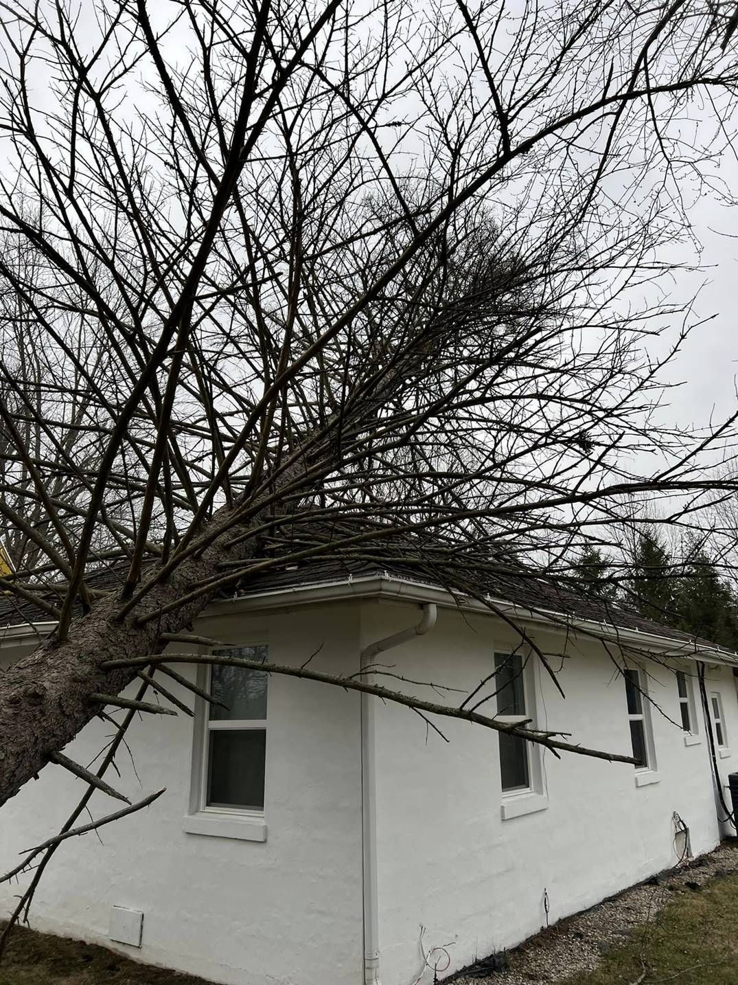 White house with dark roof under leafless tree branches on an overcast day