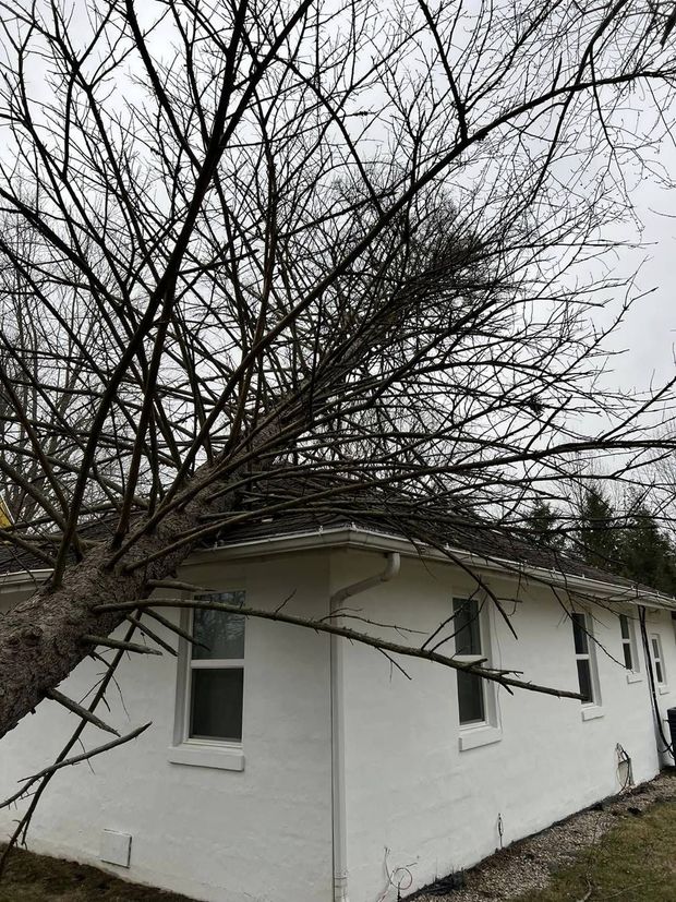 White house with dark roof under leafless tree branches on an overcast day