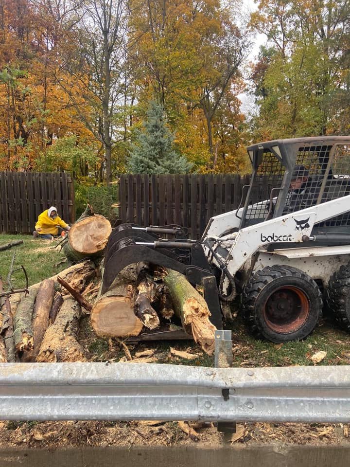 Skid steer loader lifting cut logs beside a roadside guardrail in an autumn yard