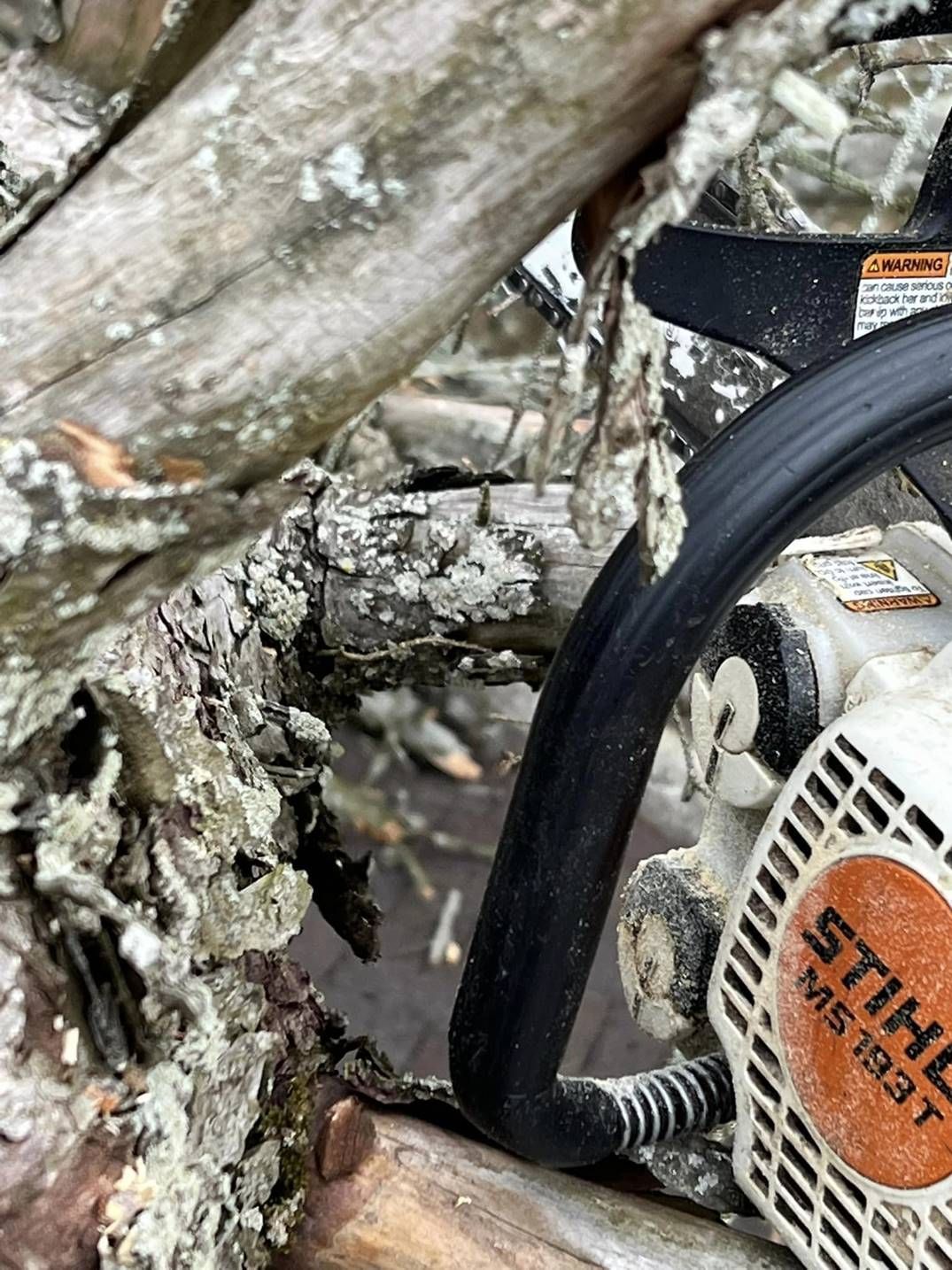 Stihl leaf blower wedged among rocks and tree roots outdoors
