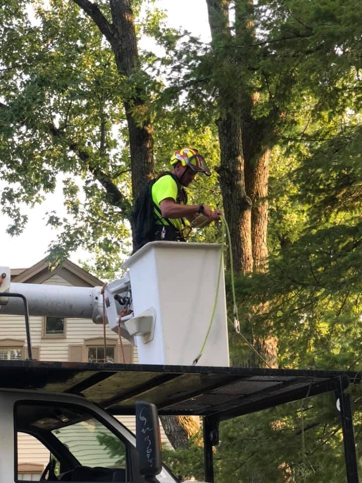 Worker in neon shirt and safety gear on a bucket lift trimming trees above a truck