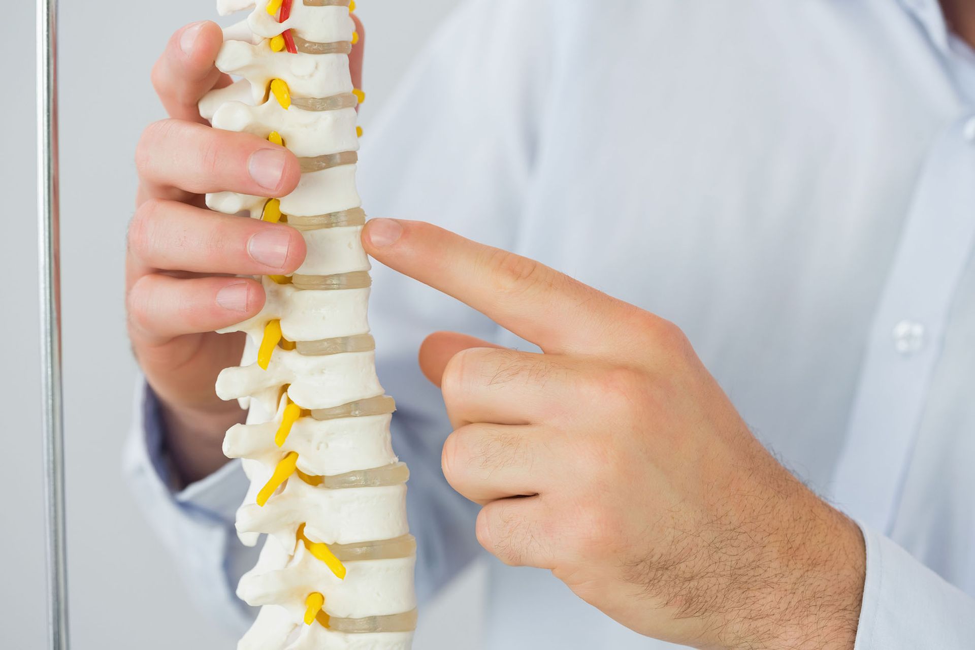 Hand pointing to a spine model with yellow nerve markers in a medical setting