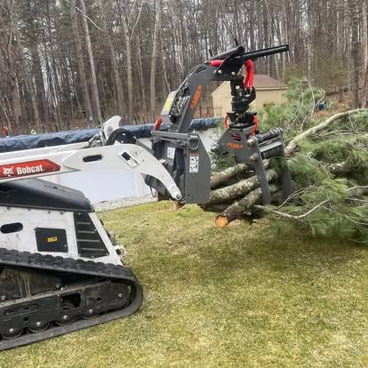 Bobcat skid steer with tree shear cutting a fallen tree in a grassy yard.