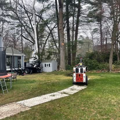 Tree service in backyard: truck with lift, skid steer, path, house, trees.
