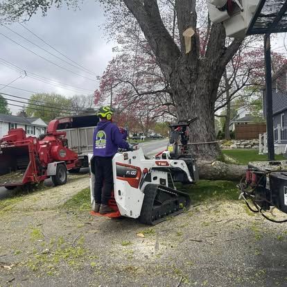 Person operating a skid steer near a tree being trimmed, with a chipper and residential setting.