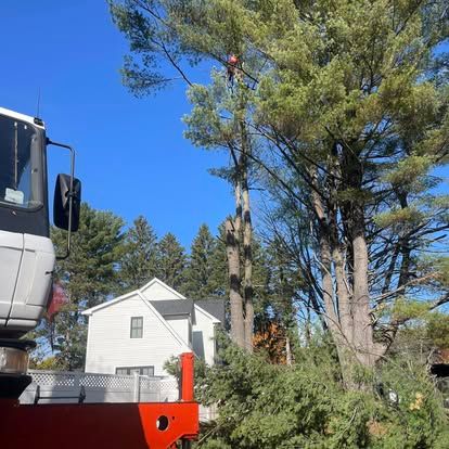 Tree service worker in a tree, with a truck boom, house in background.