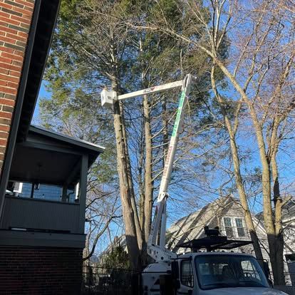 A tree being trimmed by a lift truck; a worker in the bucket near a brick building and houses.