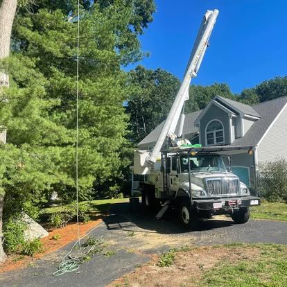 Tree removal truck with elevated boom near a house. Green grass, blue sky, and a large tree present.