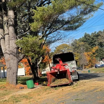 A tree service is chipping branches into a truck on a sunny street.